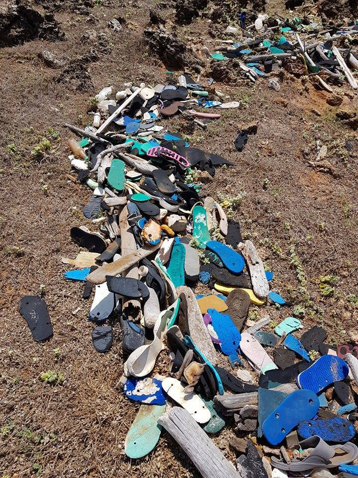 Recycled Yoga Block Yin Yang Lime