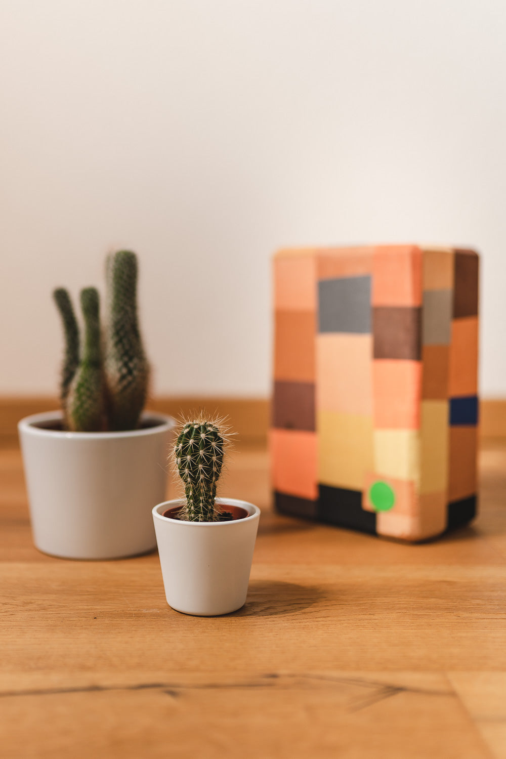 Recycled Yoga Block