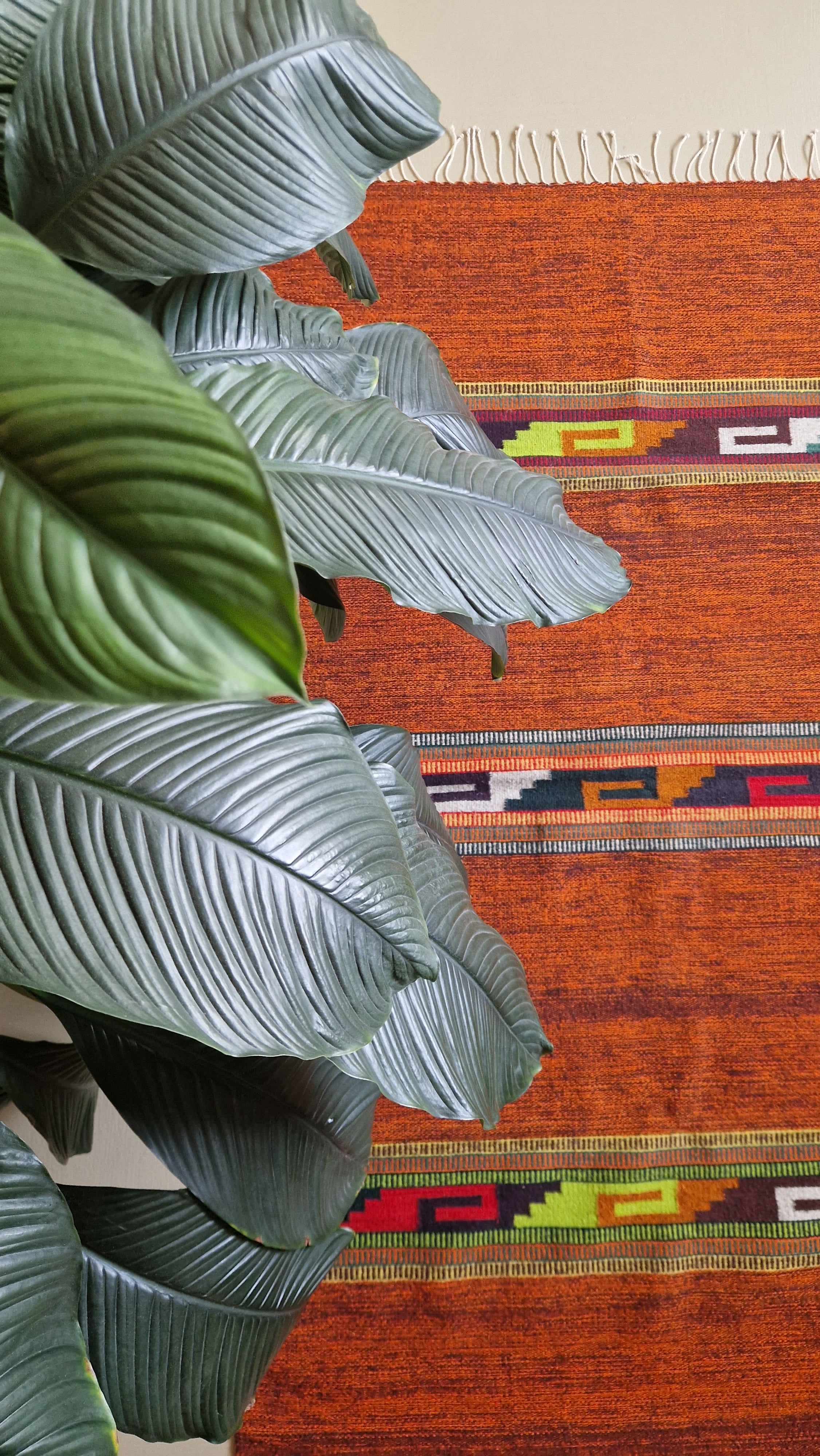 Tapis en laine Oaxaca - Ozolotepec