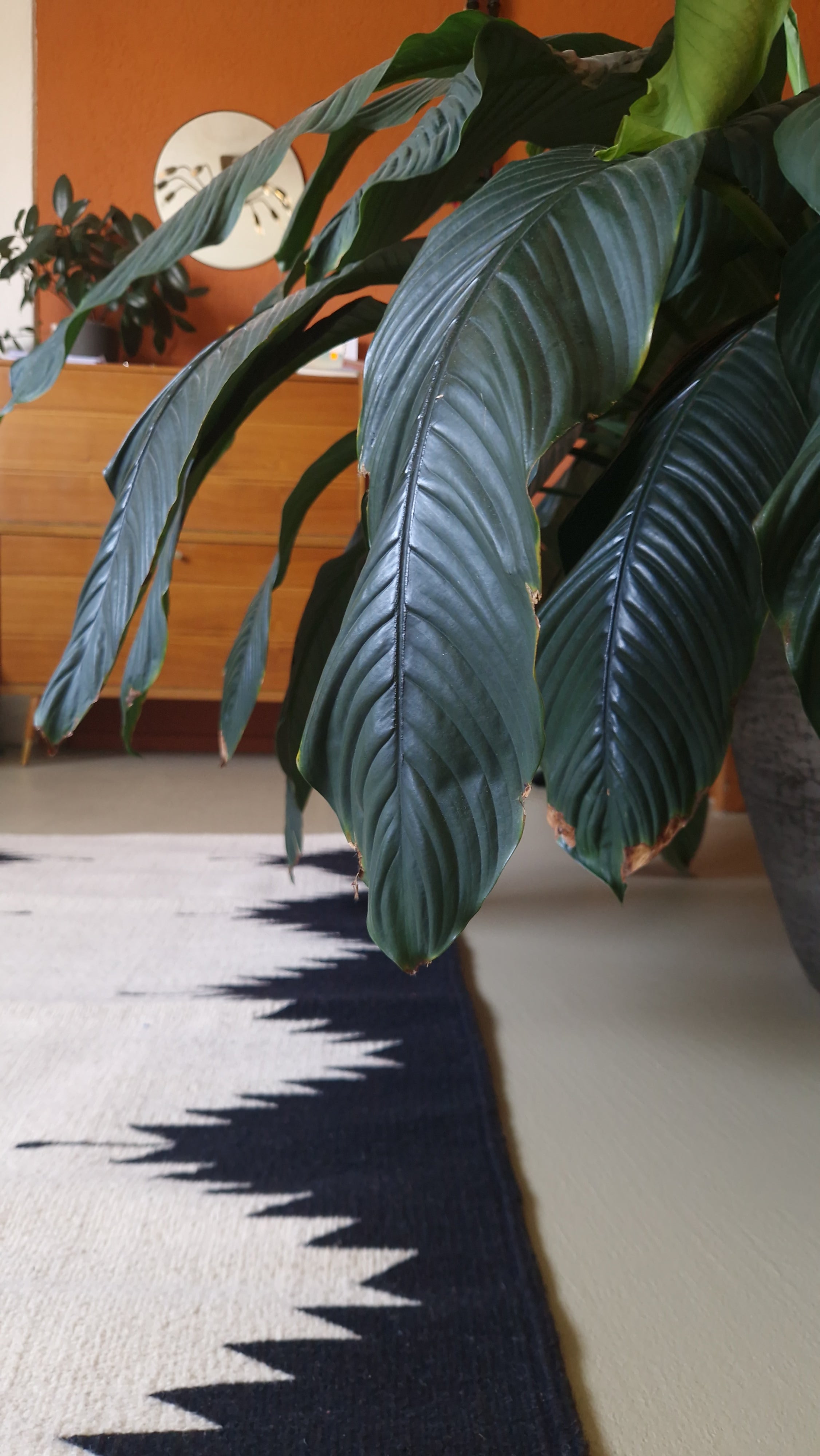 Tapis en laine Oaxaca - Ozolotepec
