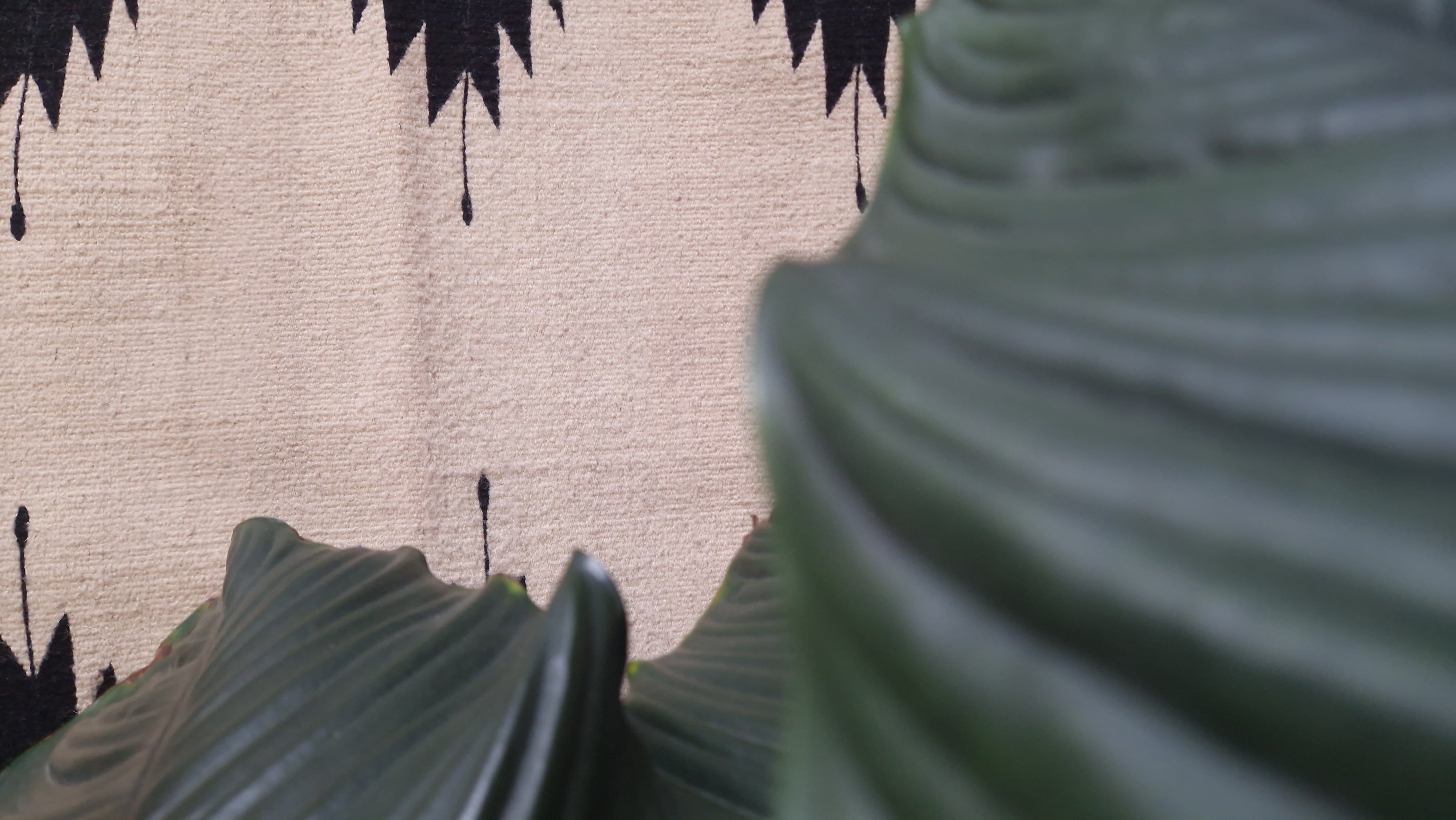 Tapis en laine Oaxaca - Ozolotepec