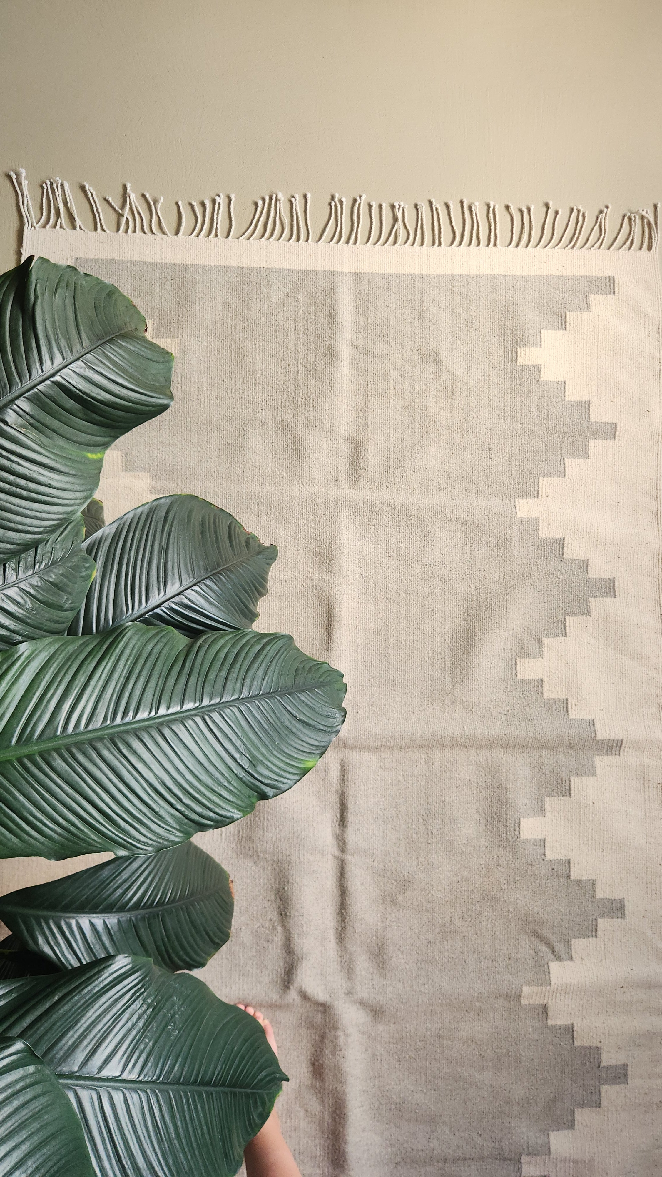 Tapis en laine Oaxaca - Ozolotepec