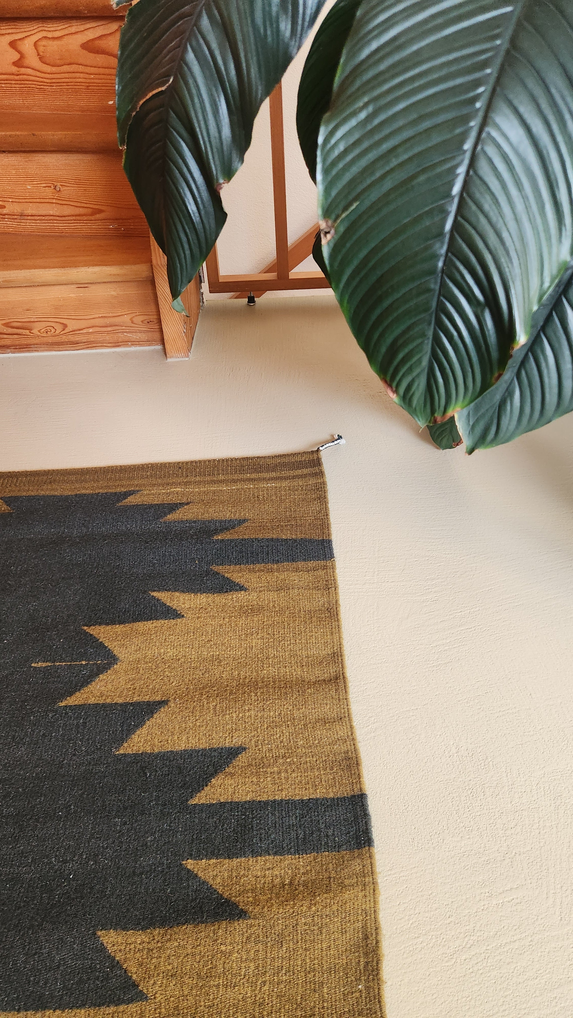 Wool Rug Oaxaca - Ozolotepec