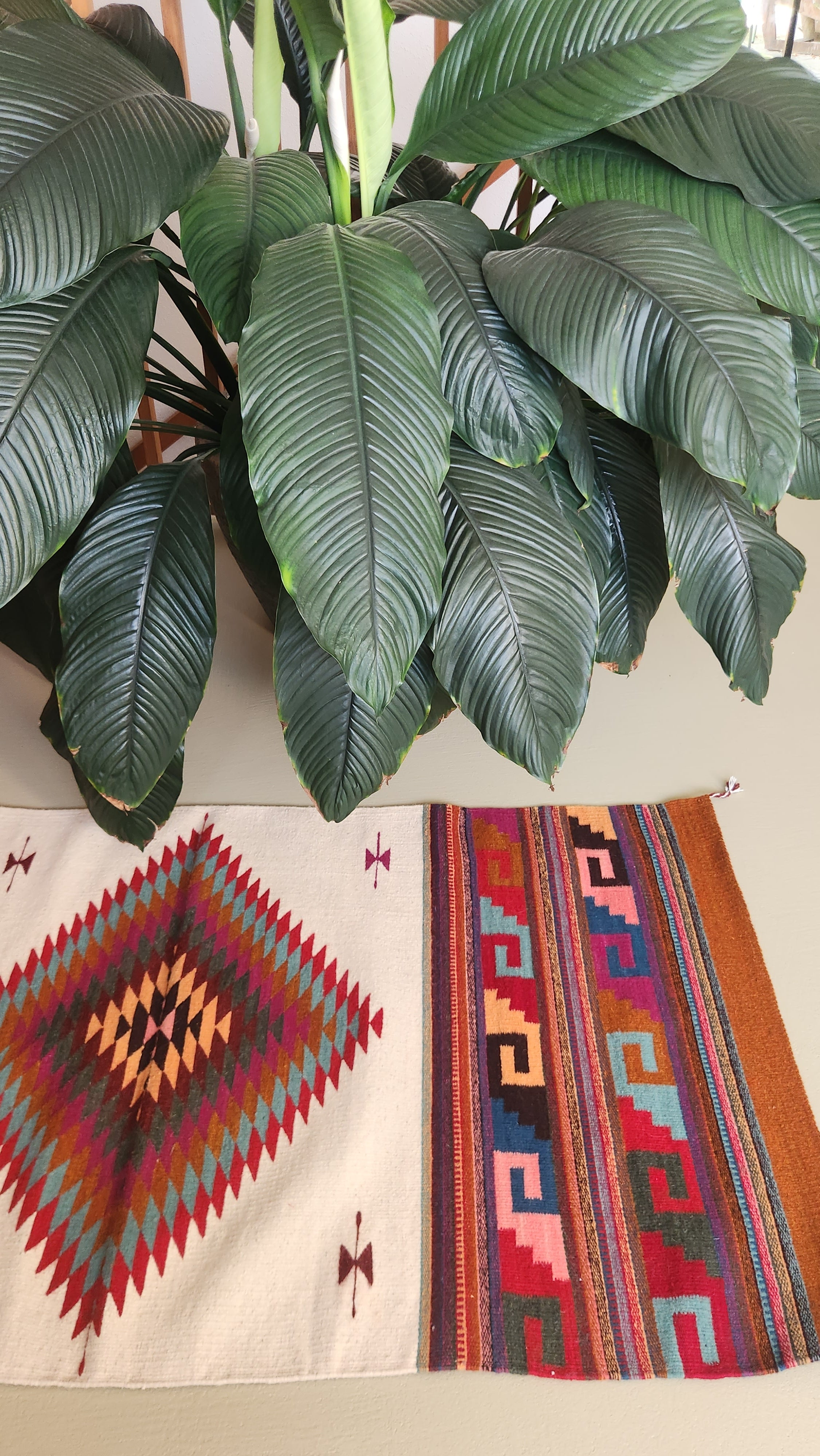 Wool Rug Oaxaca - Ozolotepec