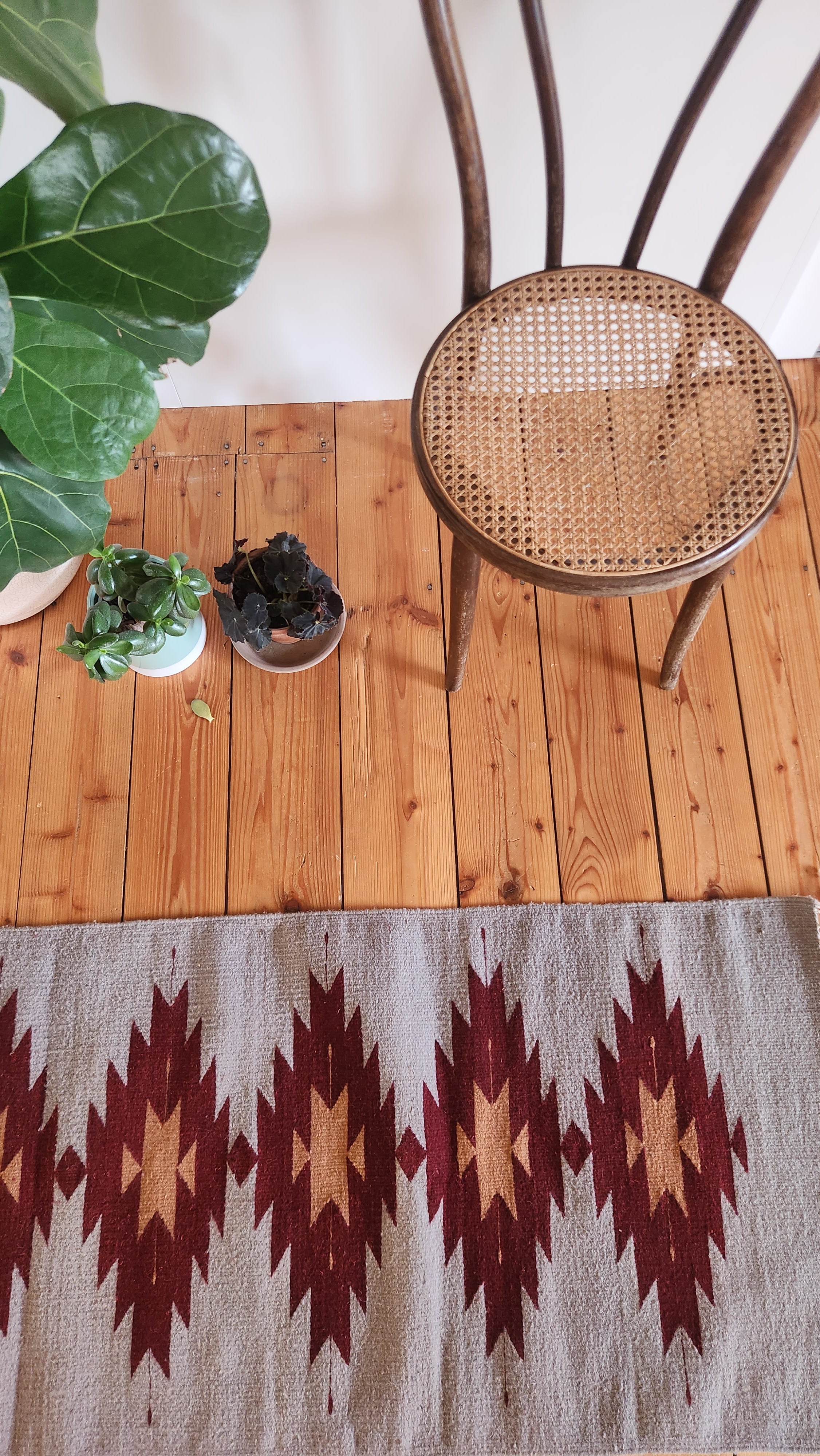 Wool Rug Oaxaca - Ozolotepec