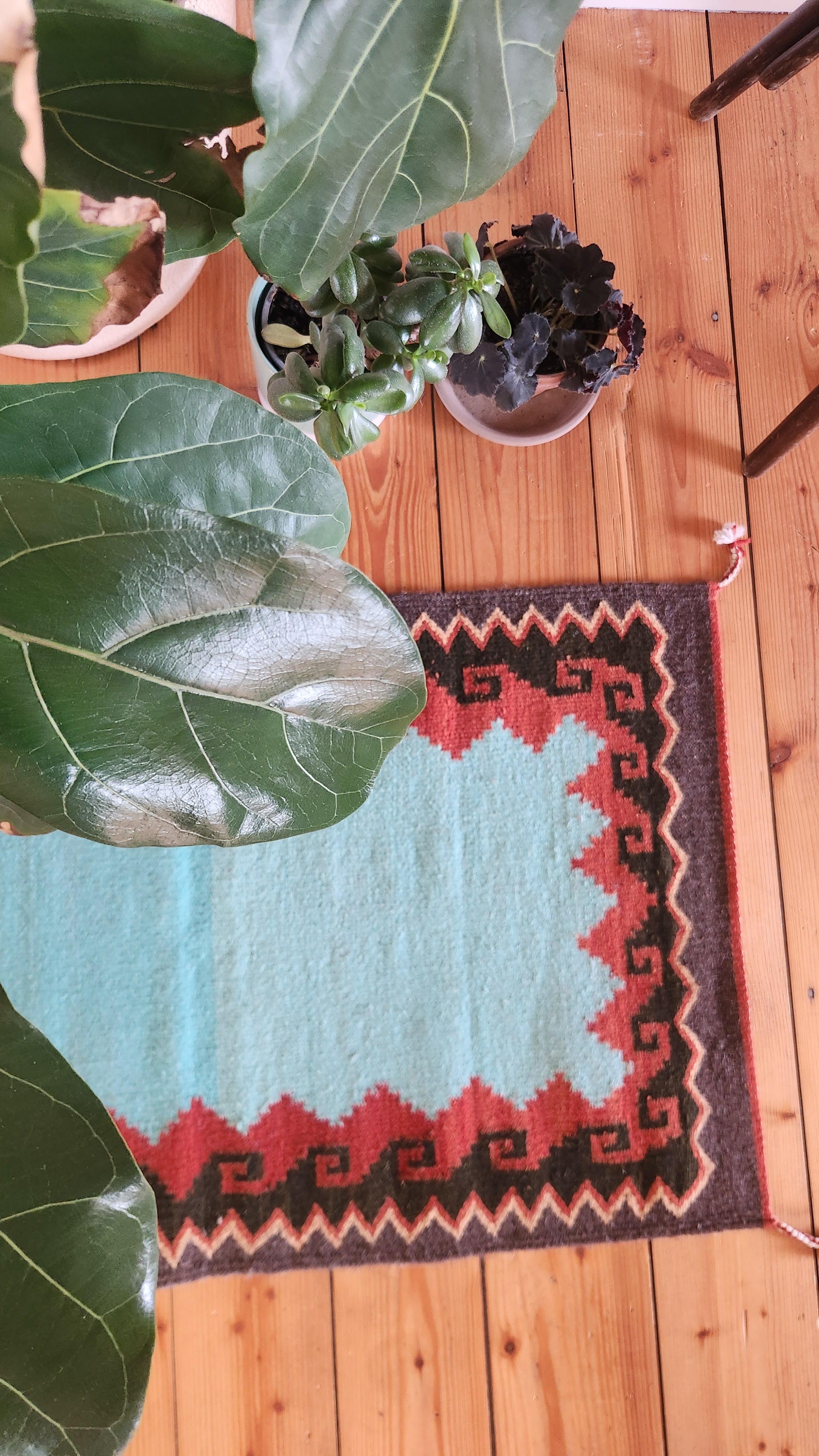 Tapis en laine Oaxaca - Ozolotepec