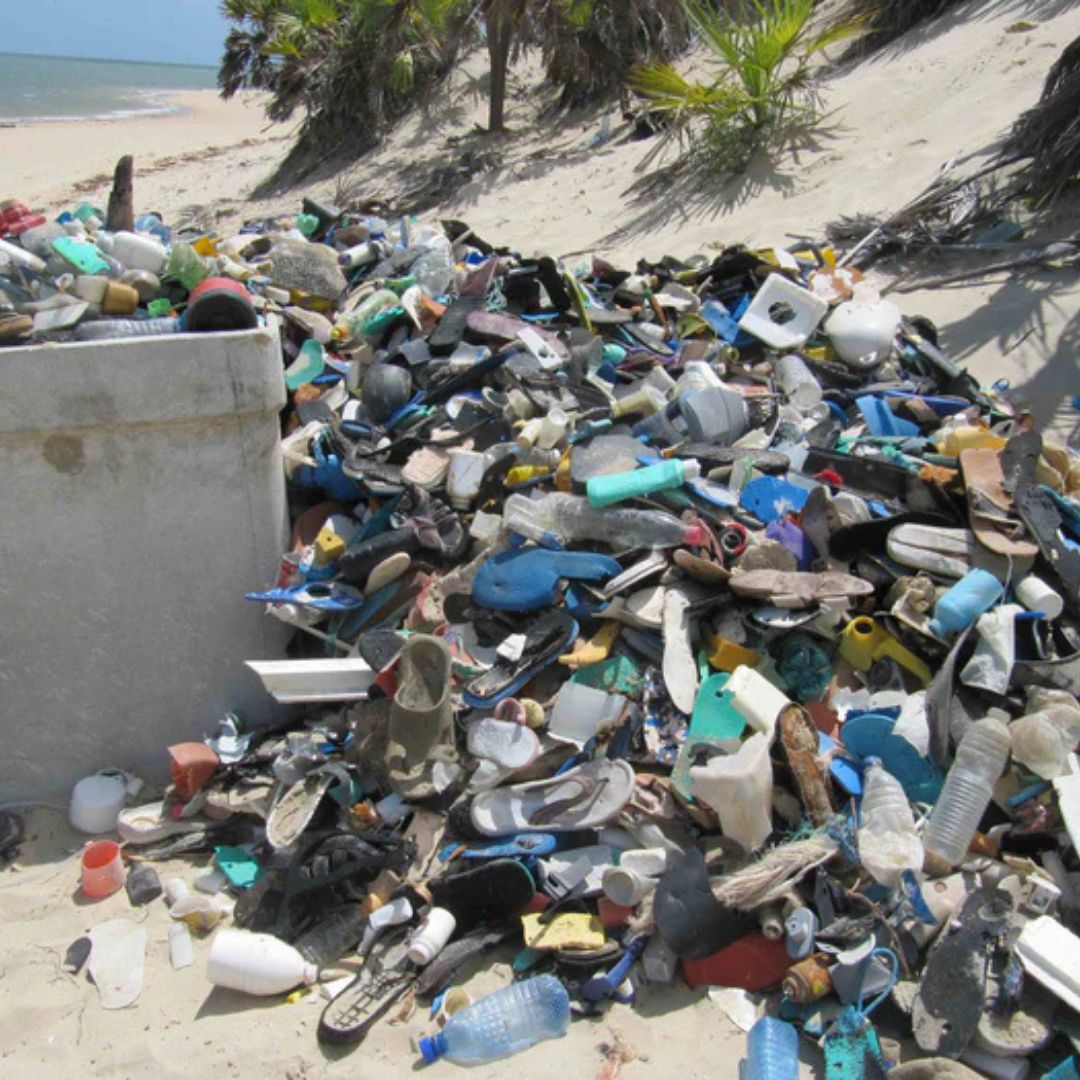 Recycled Yoga Block Jungle Small