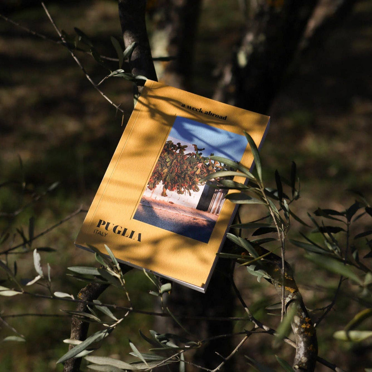 Puglia - Travelguide