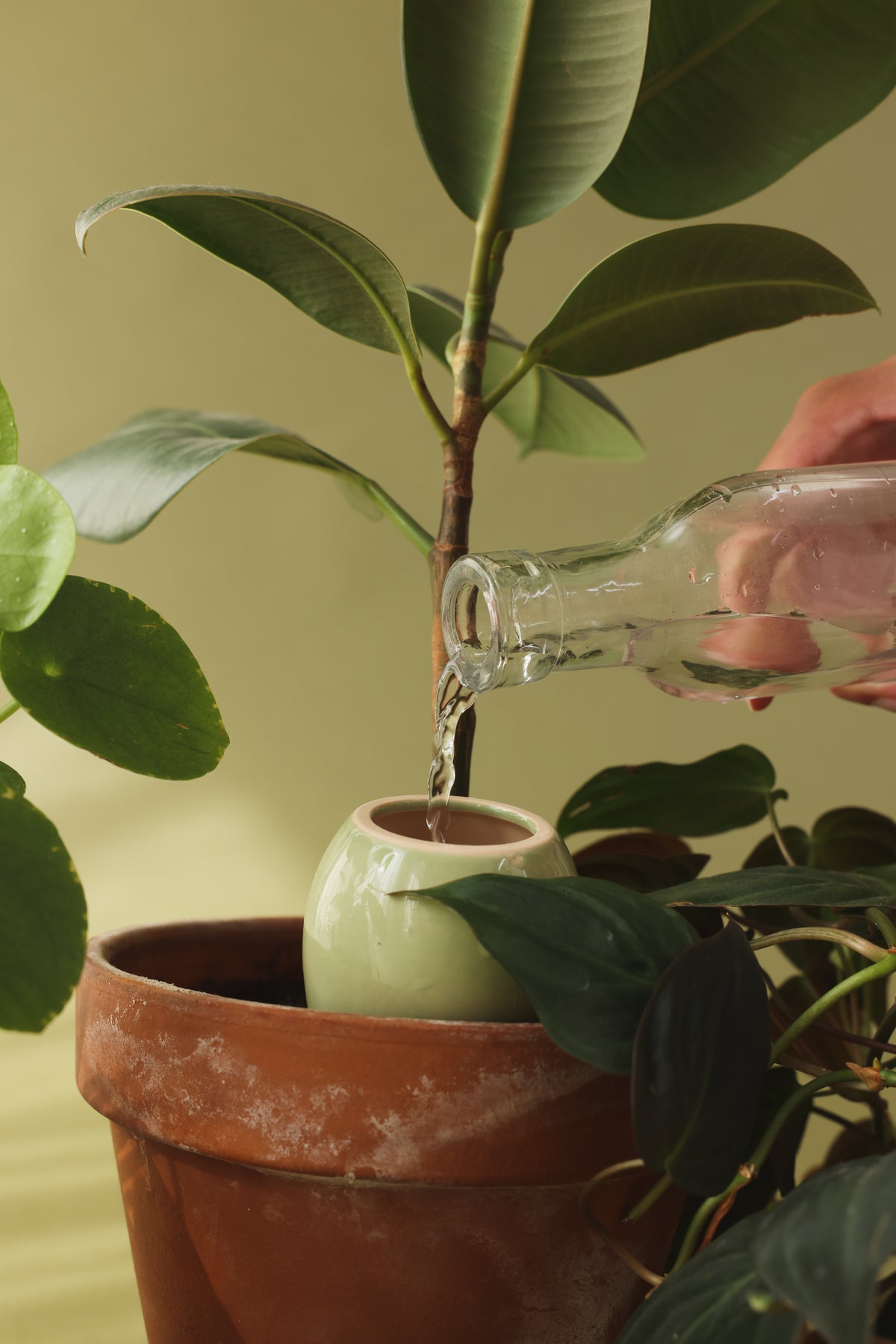 Mini Olla Trio Selbstbewässerungssystem
