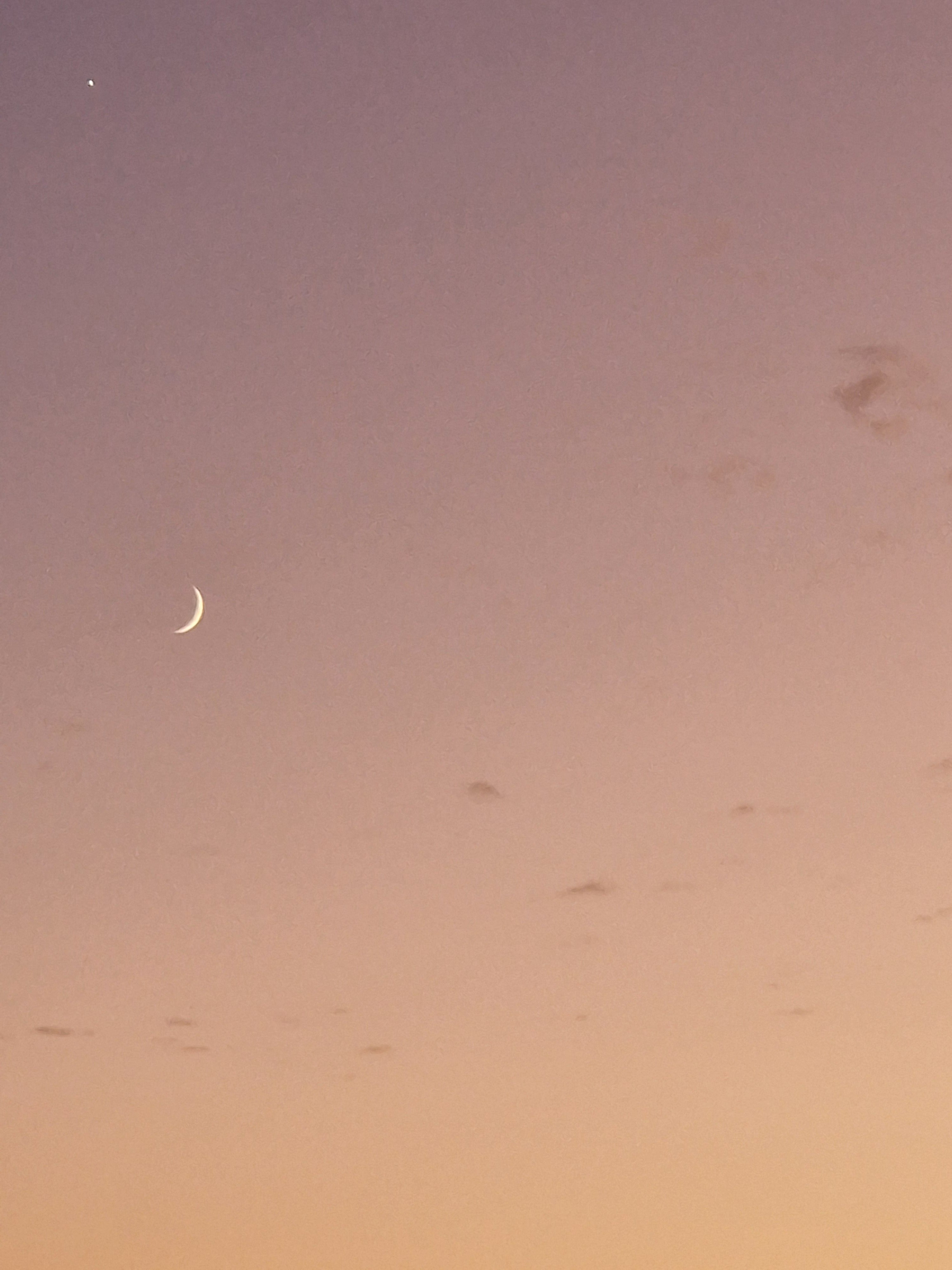 crescent moon in soft pink evening sky