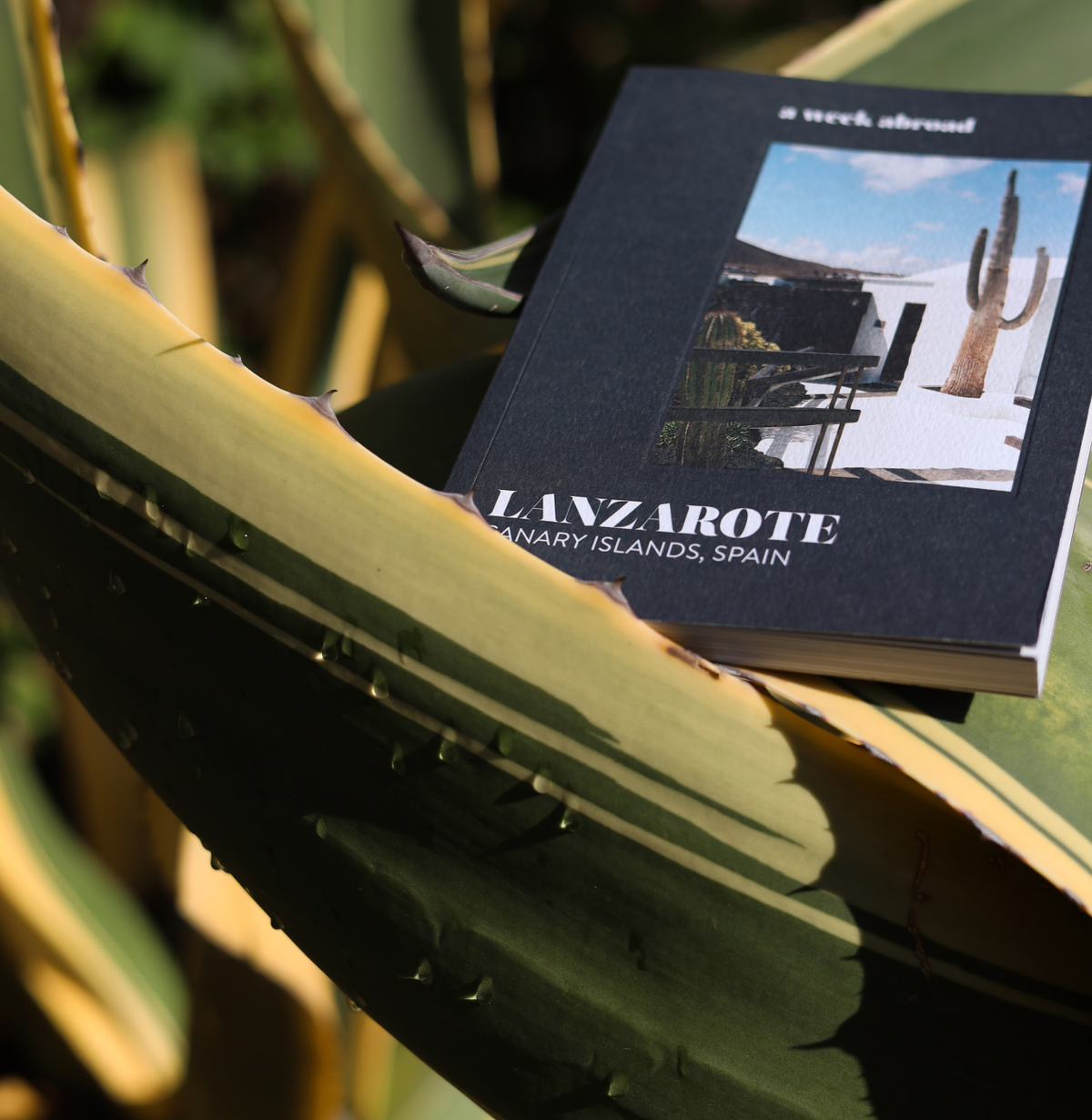 Lanzarote - Travelguide