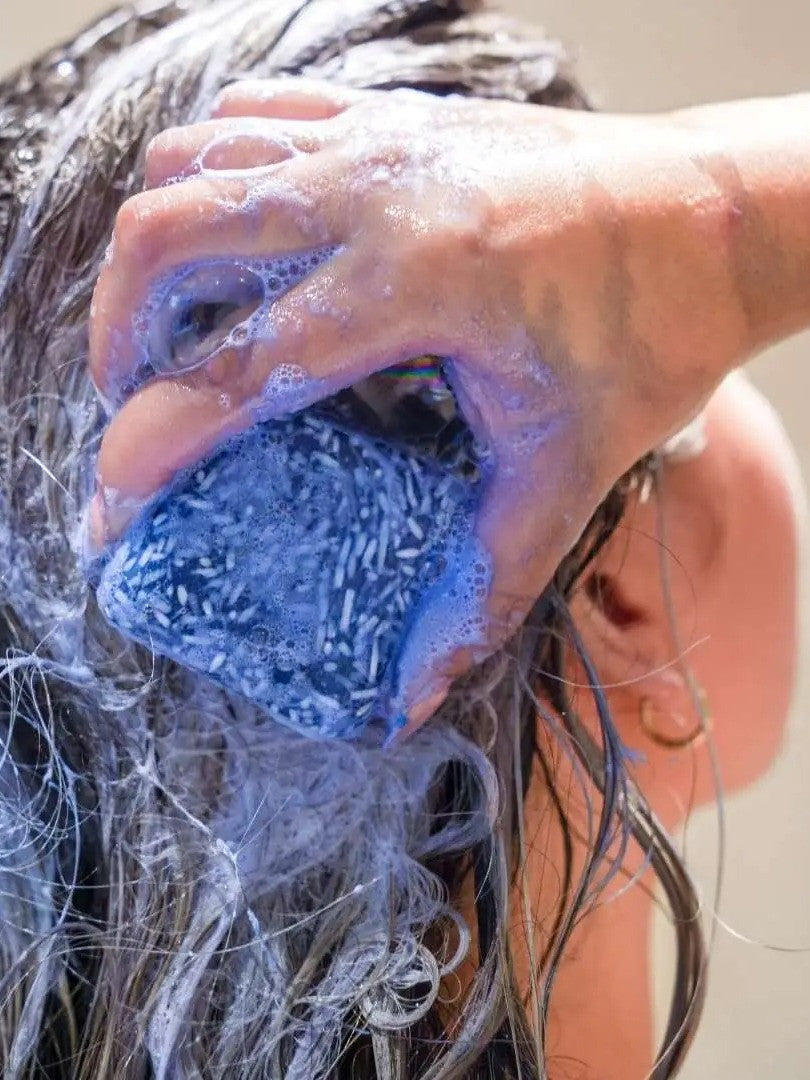Festes Shampoo Colour Correction Blue - Dunkelblondes & Braunes Haar