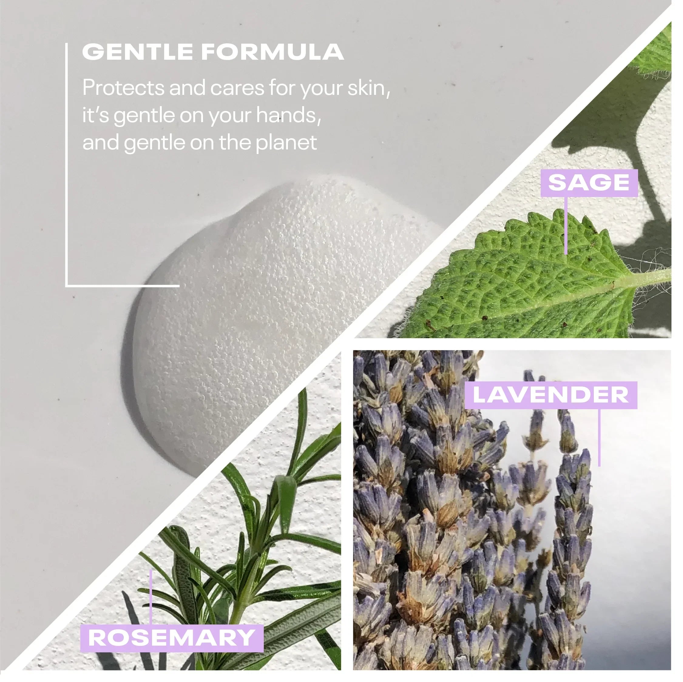 Blackmarket Soap Refill (4X) - Garden Dream