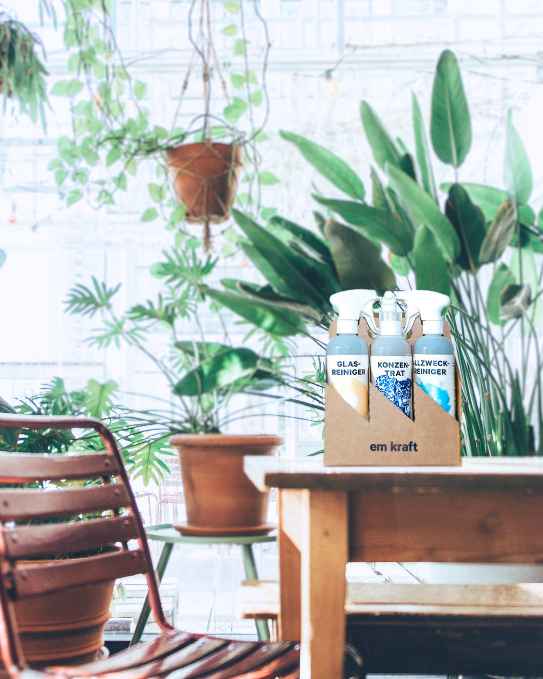 Reinigungsset Sixpack - 6x 500ml